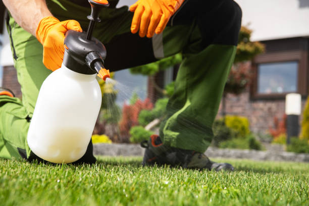 Best Mosquito Control Services  in Le Grand, CA