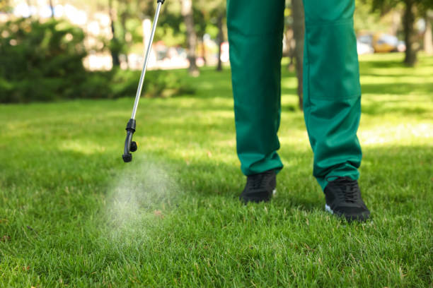 Best Wasp Removal Services  in Le Grand, CA